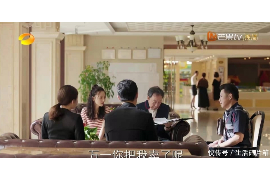 武强如何避免债务纠纷？专业追讨公司教您应对之策